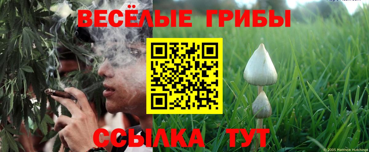 Дальнегорск  Галлюциногенные грибы ЛСД  Вход с VPN 