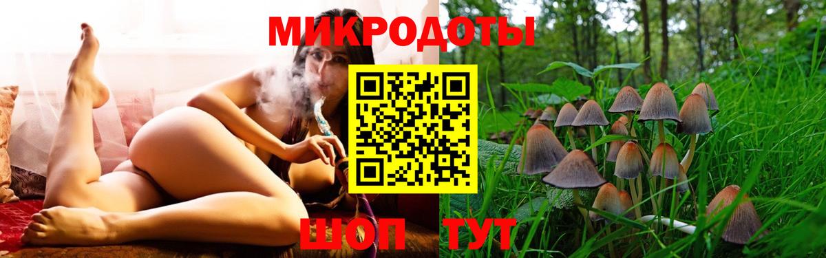 Галлюциногенные грибы мухоморы Дальнегорск